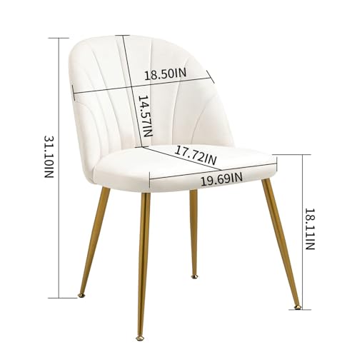 Set of 4 Beige Velvet Mid Century Modern Armless Dining Chairs with Gold Metal Legs