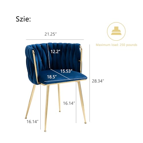 Nrizc Set of 2 Velvet Dining Chairs with Gold Legs - Modern Accent Chairs for Living Room, Dining Room, Kitchen (Blue)
