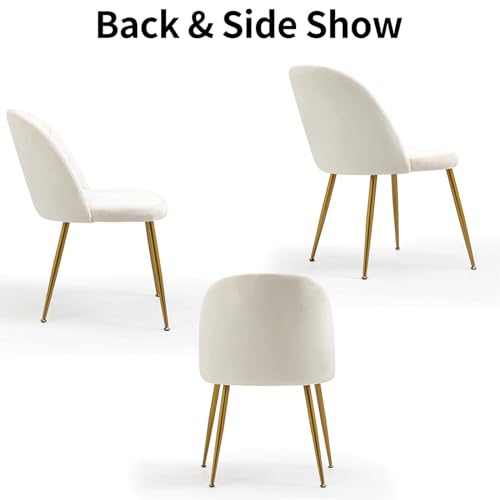 Set of 4 Beige Velvet Mid Century Modern Armless Dining Chairs with Gold Metal Legs