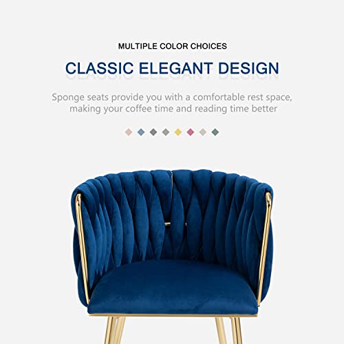 Nrizc Set of 2 Velvet Dining Chairs with Gold Legs - Modern Accent Chairs for Living Room, Dining Room, Kitchen (Blue)
