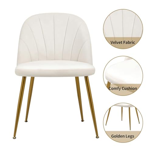 Set of 4 Beige Velvet Mid Century Modern Armless Dining Chairs with Gold Metal Legs