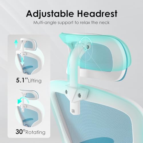 Farini Ergonomic Office Chair with Headrest and Adjustable Support for Home Office