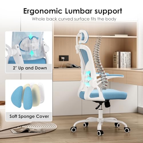 Farini Ergonomic Office Chair with Headrest and Adjustable Support for Home Office
