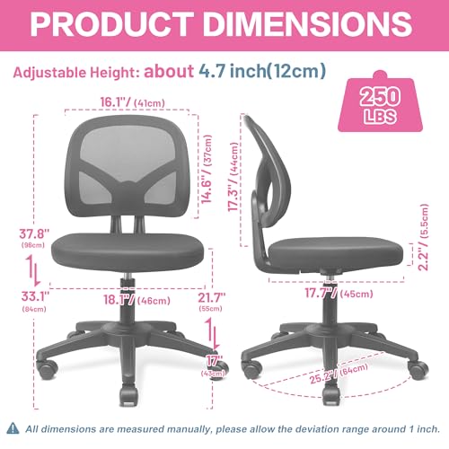 Adjustable Armless Office Chair with Lumbar Support and Mesh Back - Black