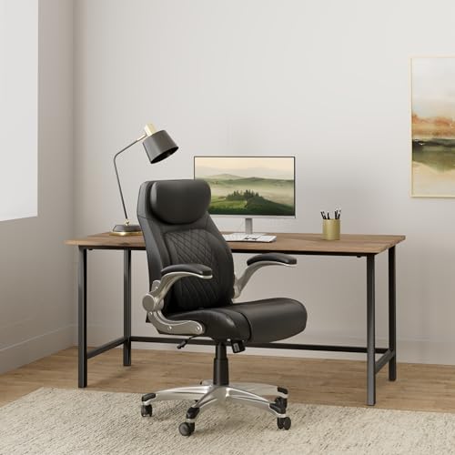 Nouhaus Ergonomic Office Chair with Lumbar Support and Adjustable Armrests (Black)