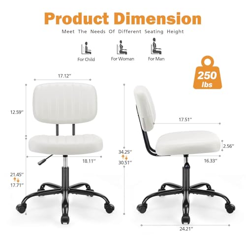Elevon Rolling Desk Chair with Lumbar Support for Adults and Students