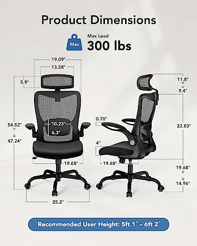 HUANUO Ergonomic High Back Office Chair with Adjustable Lumbar Support and Headrest