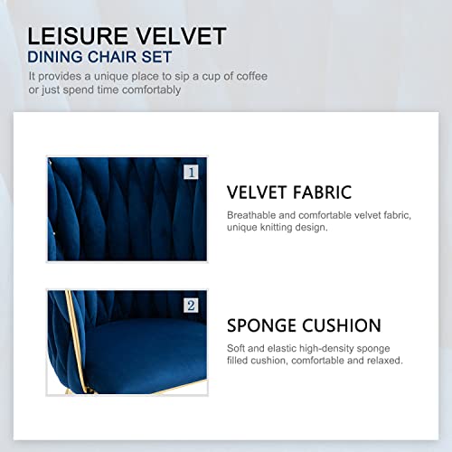Nrizc Set of 2 Velvet Dining Chairs with Gold Legs - Modern Accent Chairs for Living Room, Dining Room, Kitchen (Blue)