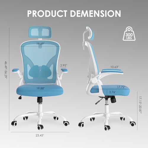 Farini Ergonomic Office Chair with Headrest and Adjustable Support for Home Office