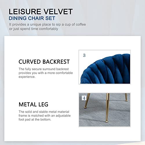 Nrizc Set of 2 Velvet Dining Chairs with Gold Legs - Modern Accent Chairs for Living Room, Dining Room, Kitchen (Blue)