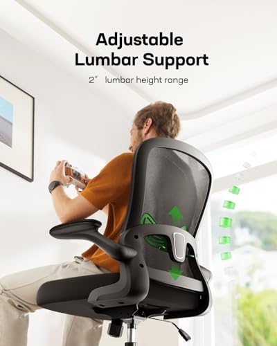 Ergonomic Marsail Office Chair: Mesh Back Desk Chair with Adjustable Lumbar Support and Flip-up Armrests (Bright Black)