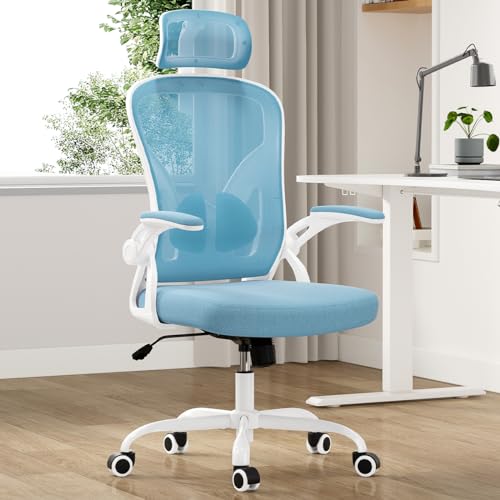 Farini Ergonomic Office Chair with Headrest and Adjustable Support