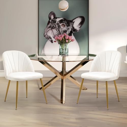 Set of 4 Beige Velvet Mid Century Modern Armless Dining Chairs with Gold Metal Legs