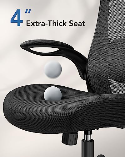 HUANUO Ergonomic High Back Office Chair with Adjustable Lumbar Support and Headrest