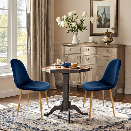 CangLong Blue Velvet Dining Chairs with Upholstered Backs and Metal Legs, Set of 2