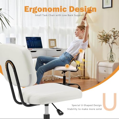 Elevon Rolling Desk Chair with Lumbar Support for Adults and Students