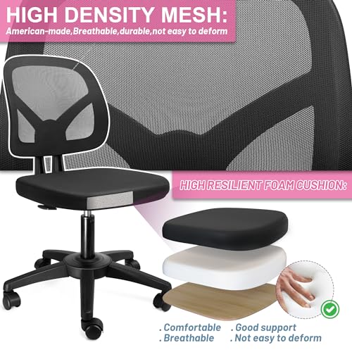 Adjustable Armless Office Chair with Lumbar Support and Mesh Back - Black