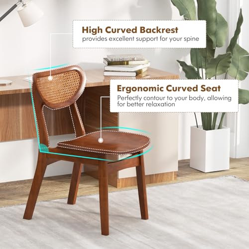 Giantex Set of 4 Armless Wooden Dining Chairs with Cane Backrest and Rubber Wood Legs, Walnut Farmhouse Accent Chairs, Max Load 265 lbs