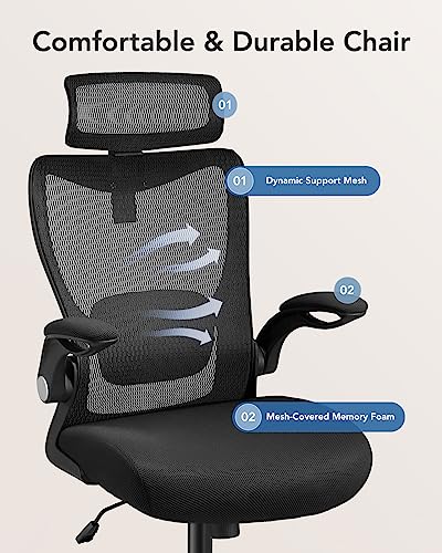 HUANUO Ergonomic High Back Office Chair with Adjustable Lumbar Support and Headrest
