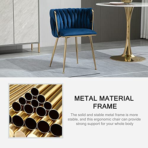 Nrizc Set of 2 Velvet Dining Chairs with Gold Legs - Modern Accent Chairs for Living Room, Dining Room, Kitchen (Blue)