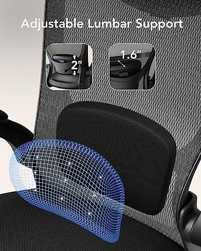HUANUO Ergonomic High Back Office Chair with Adjustable Lumbar Support and Headrest